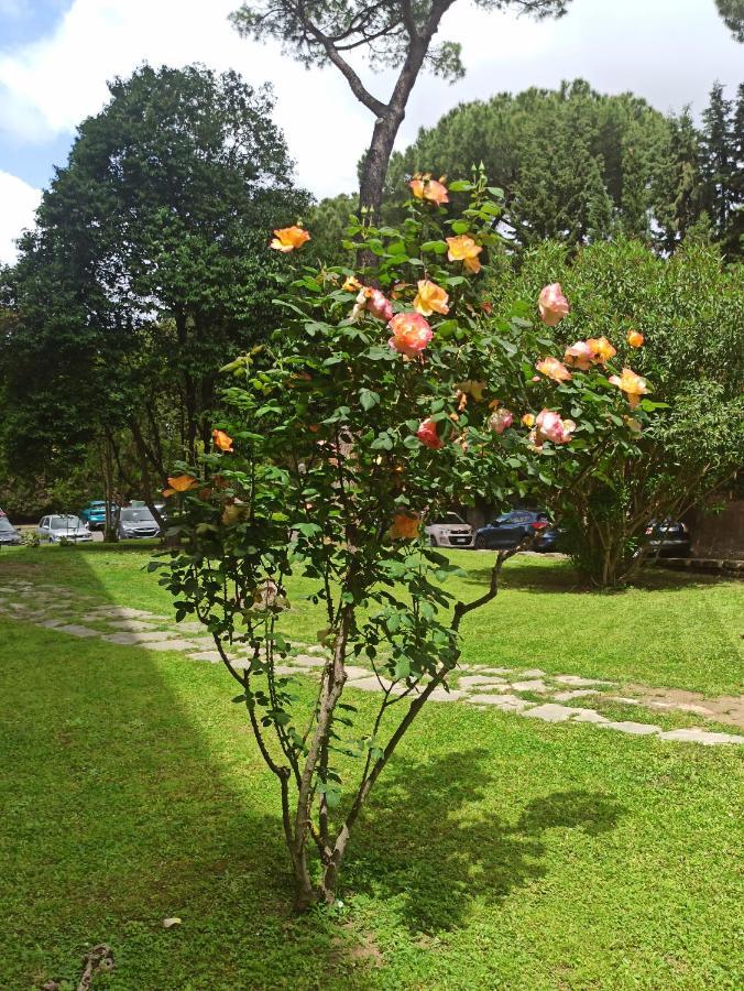 Aurelia Antica Terrace Apt Free Pool And Parking Рим Экстерьер фото