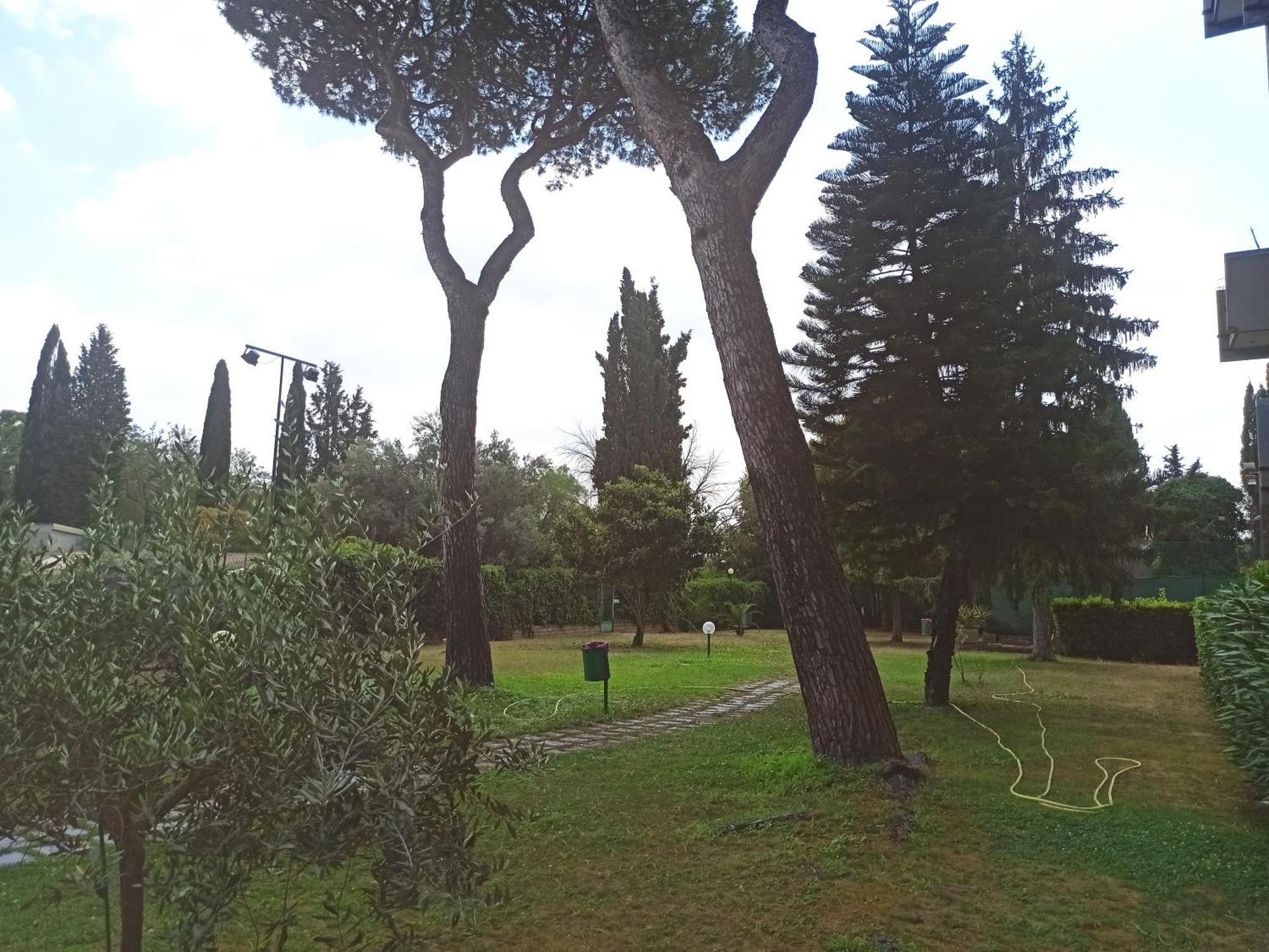 Aurelia Antica Terrace Apt Free Pool And Parking Рим Экстерьер фото